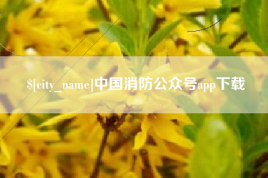 靖边中国消防公众号app下载