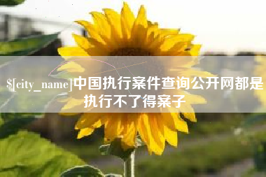 靖边中国执行案件查询公开网都是执行不了得案子