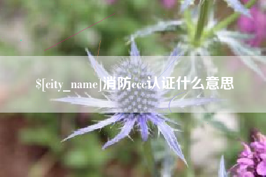 靖边消防ccc认证什么意思