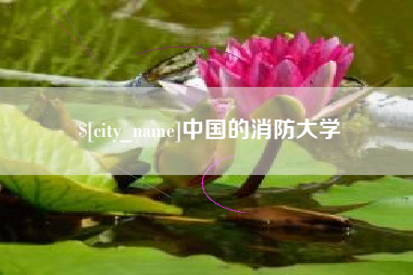 靖边中国的消防大学