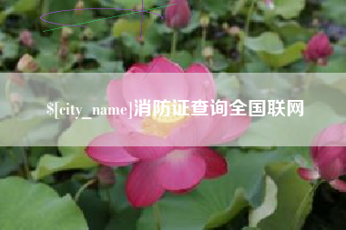 靖边消防证查询全国联网