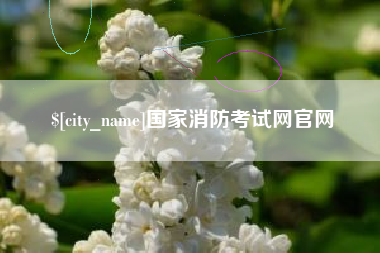 靖边国家消防考试网官网