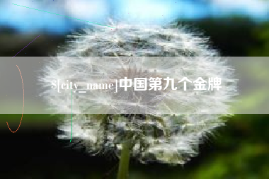 靖边中国第九个金牌