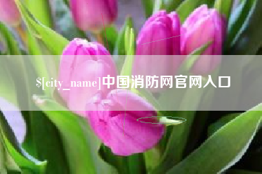 靖边中国消防网官网入口