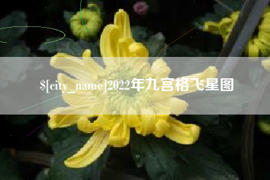 靖边2022年九宫格飞星图