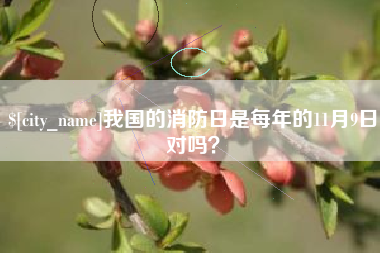 靖边我国的消防日是每年的11月9日对吗？
