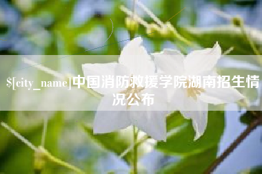 靖边中国消防救援学院湖南招生情况公布