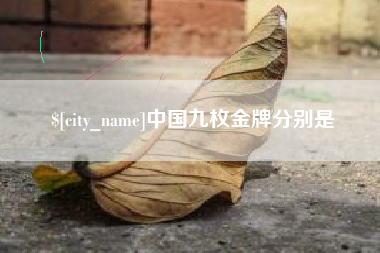 靖边中国九枚金牌分别是