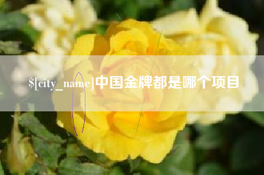 靖边中国金牌都是哪个项目