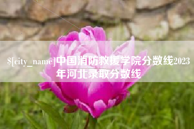 靖边中国消防救援学院分数线2023年河北录取分数线