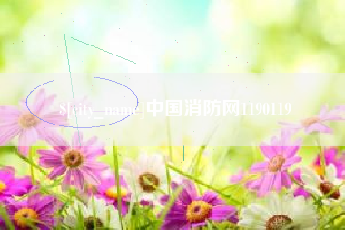 靖边中国消防网1190119