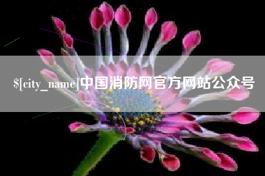 靖边中国消防网官方网站公众号