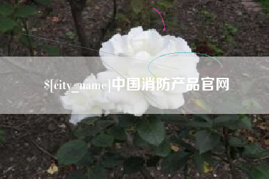 靖边中国消防产品官网