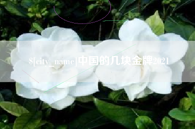靖边中国的几块金牌2021