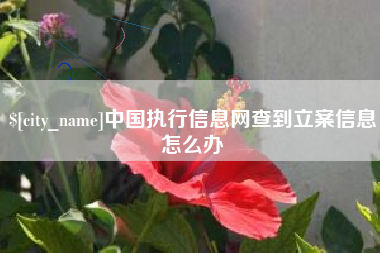 靖边中国执行信息网查到立案信息怎么办