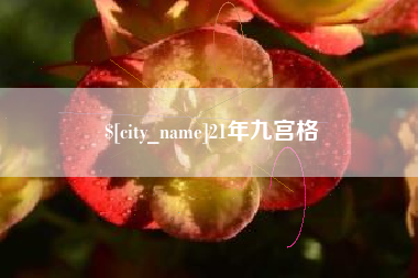 靖边21年九宫格