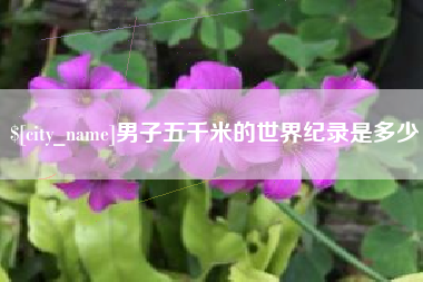 靖边男子五千米的世界纪录是多少