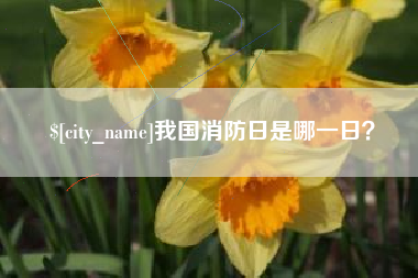 靖边我国消防日是哪一日？