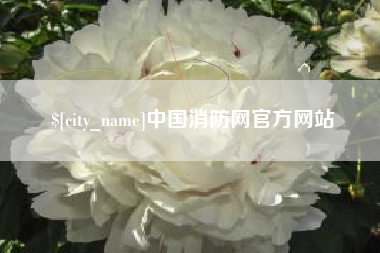 靖边中国消防网官方网站