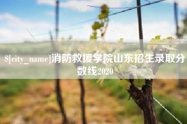 靖边消防救援学院山东招生录取分数线2020