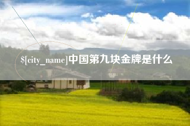靖边中国第九块金牌是什么
