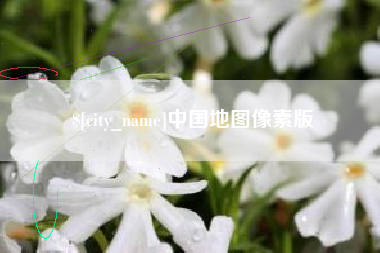 靖边中国地图像素版