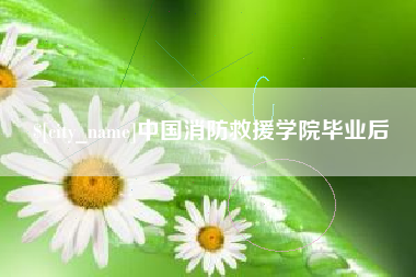 靖边中国消防救援学院毕业后