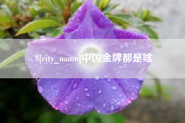 靖边中国金牌都是啥