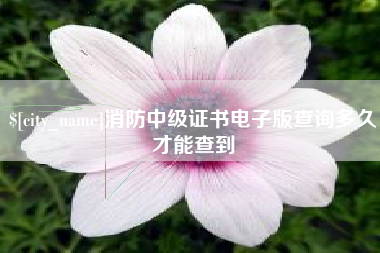 靖边消防中级证书电子版查询多久才能查到