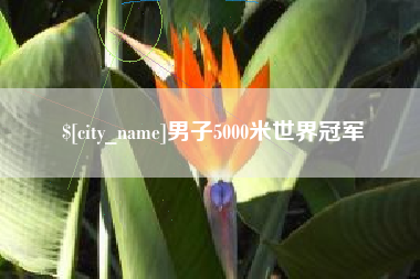 靖边男子5000米世界冠军