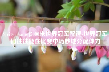 靖边5000米世界冠军配速-世界冠军们往往能在比赛中巧妙地分配体力