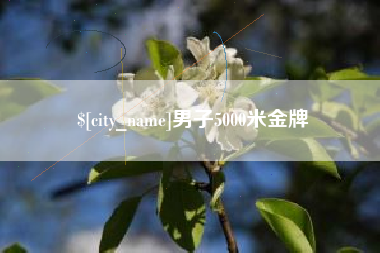 靖边男子5000米金牌