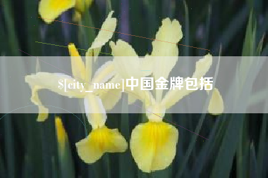 靖边中国金牌包括