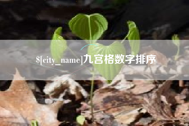 靖边九宫格数字排序