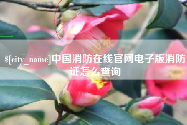 靖边中国消防在线官网电子版消防证怎么查询