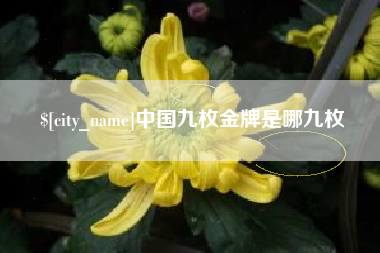 靖边中国九枚金牌是哪九枚