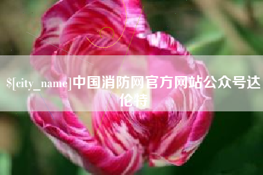 靖边中国消防网官方网站公众号达伦特