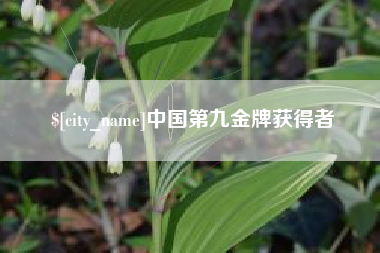 靖边中国第九金牌获得者