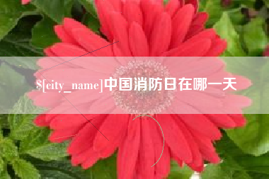 靖边中国消防日在哪一天