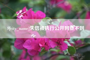 靖边失信被执行公开网查不到