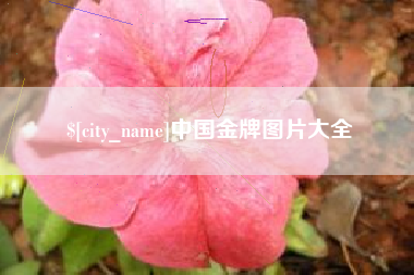 靖边中国金牌图片大全