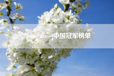靖边中国冠军榜单