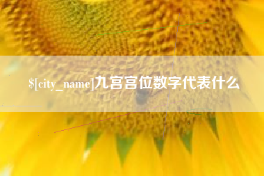 靖边九宫宫位数字代表什么