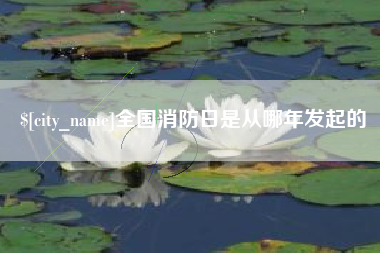 靖边全国消防日是从哪年发起的