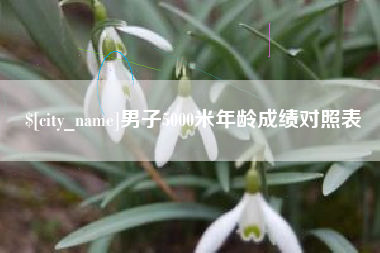 靖边男子5000米年龄成绩对照表