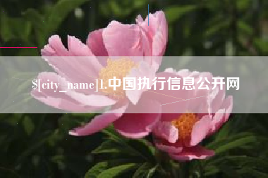 靖边1.中国执行信息公开网