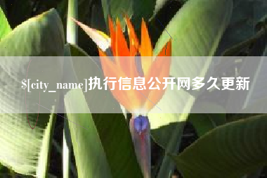 靖边执行信息公开网多久更新