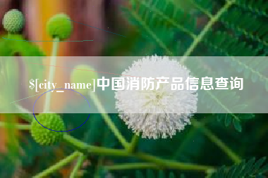 靖边中国消防产品信息查询