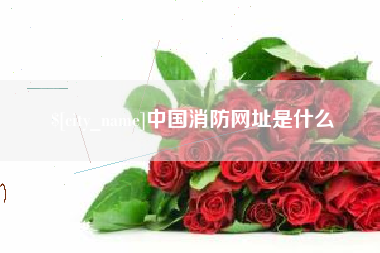 靖边中国消防网址是什么