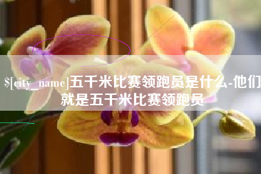 靖边五千米比赛领跑员是什么-他们就是五千米比赛领跑员